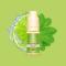 Citron vert menthe 10ml